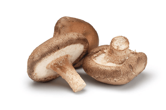 Evidence of The Power of Shiitake The Remarkable Mushroom