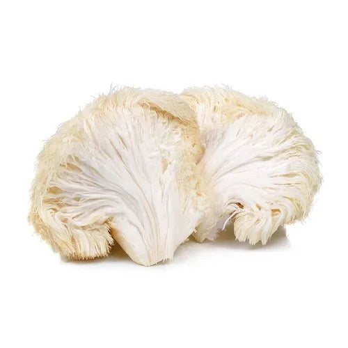 Boosting Brain Health and Cognitive Function with Lion's Mane