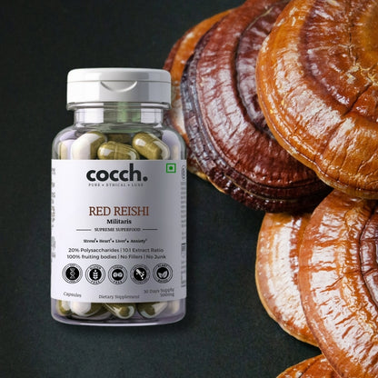 Body Balance Capsules - Red Reishi (Ganoderma) + Cacao Extract | Mushroom of Immortality